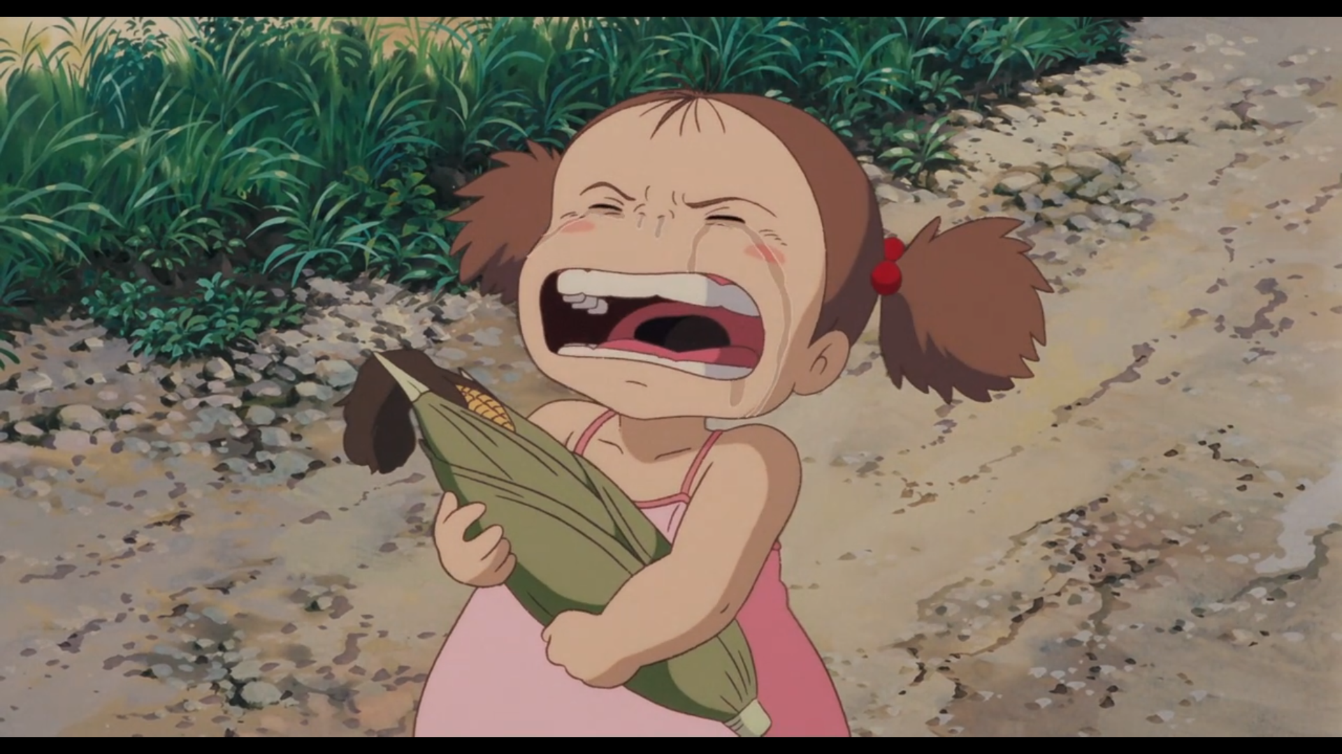Scène de Mon Voisin Totoro
Mei, petite fille de 4-5 ans japonaise, aux cheveux bruns coiffés en deux couette de chaque côté de sa tête, portant une robe rose pâle, tenant un maïs entier dans les mains, pleure les yeux fermés tout en criant à gorge déployée.
On distingue derrière elle, le chemin terreux avec quelques pierre sur lequel elle marche, ainsi que quelques herbes vertes le bordant.